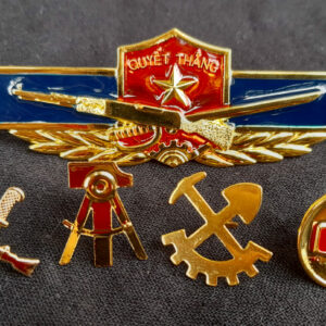 Vietnam Military Collectible Pins