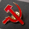 Political Pins