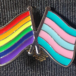 LGBTQIA+ Pride Pins
